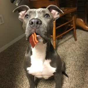 Meet your Posher, Ismael